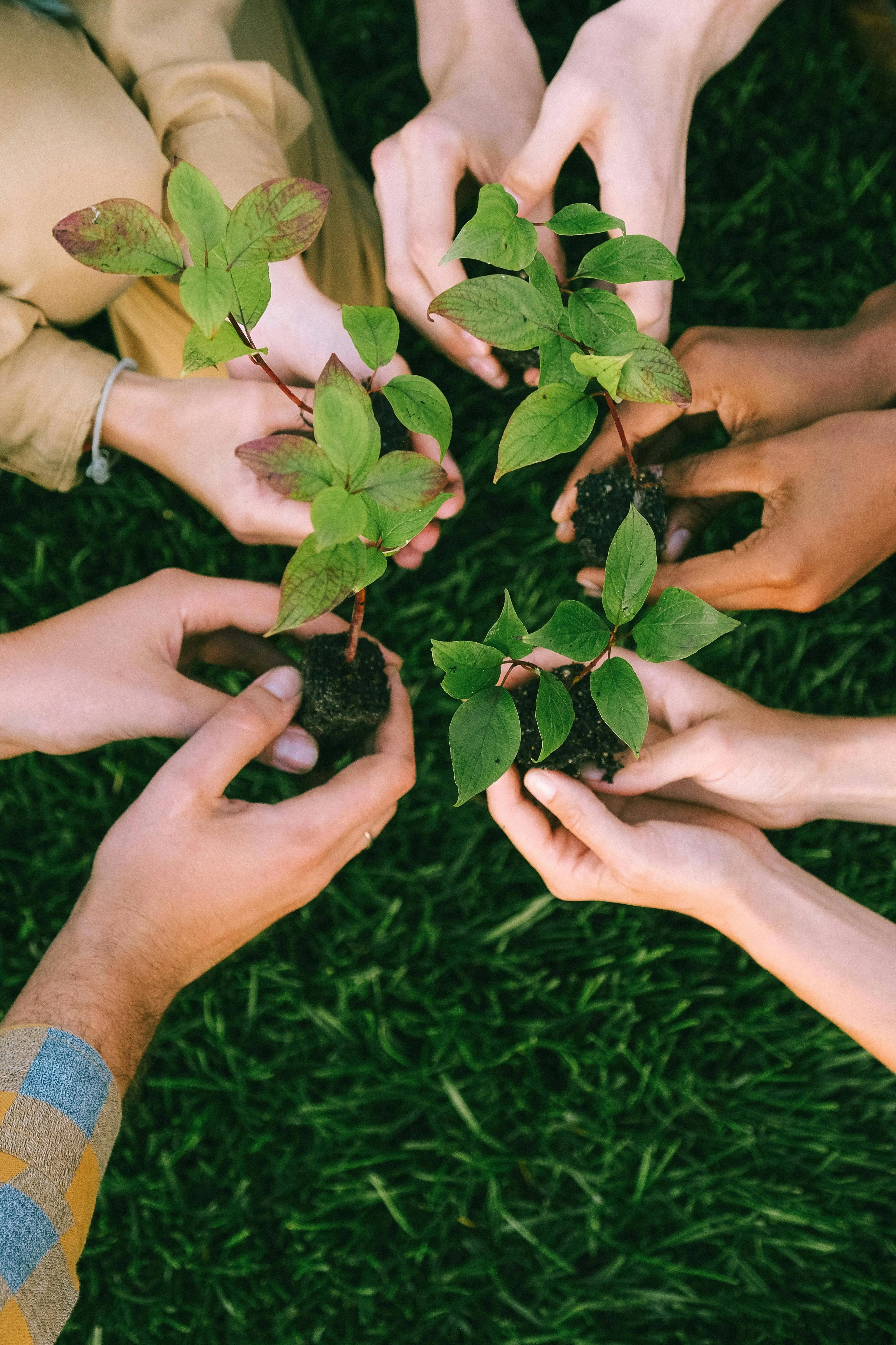 our misssion-sustainability